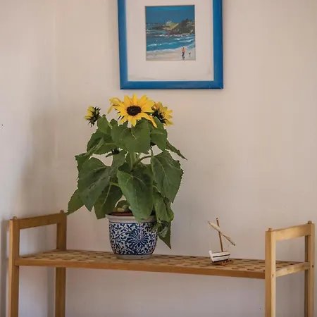 Apartman Cozy In With Wifi